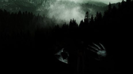 the forest 360 experience