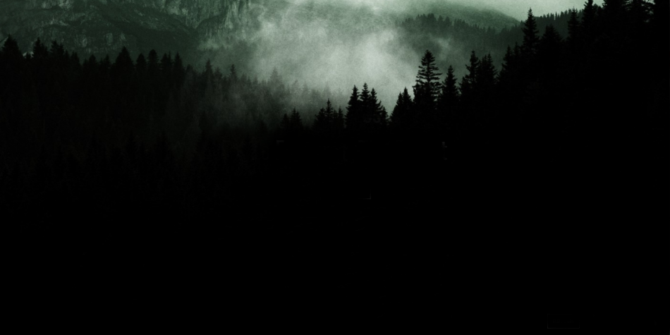 the forest 360 experience