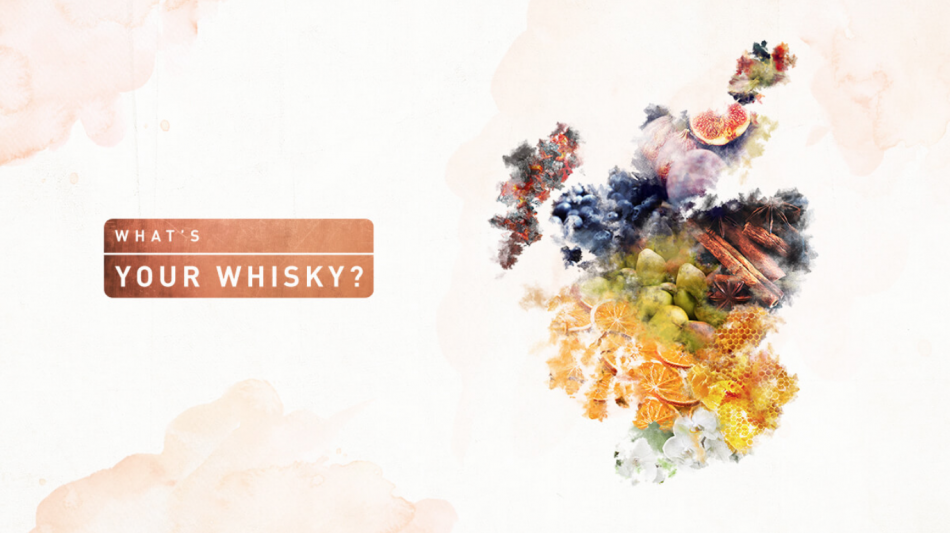 Diageo What’s Your Whisky Selector